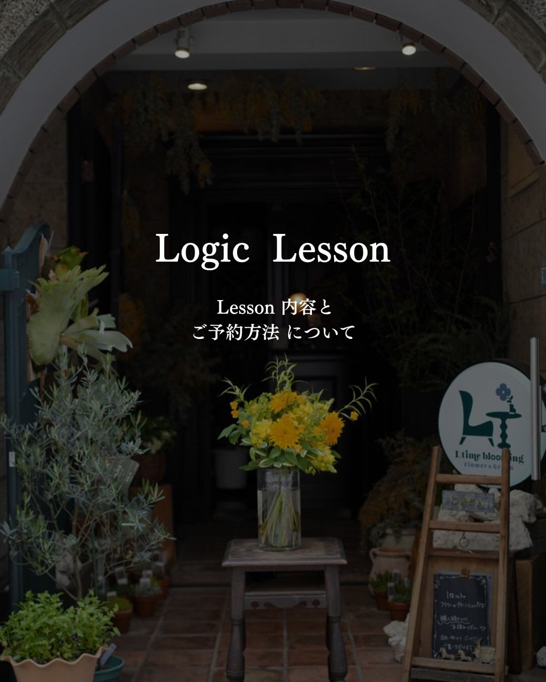 Logic Lesson について🦞