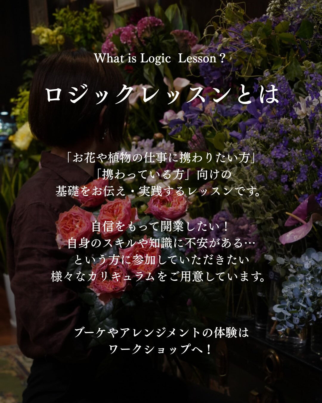 Logic Lesson について🦞