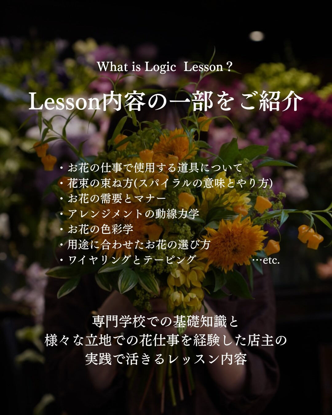 Logic Lesson について🦞