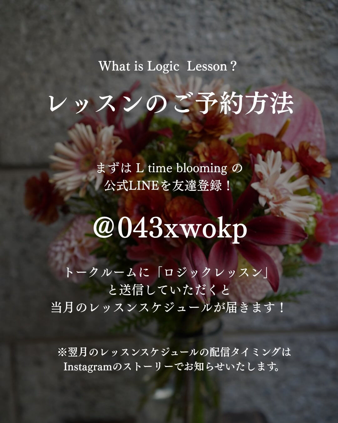 Logic Lesson について🦞