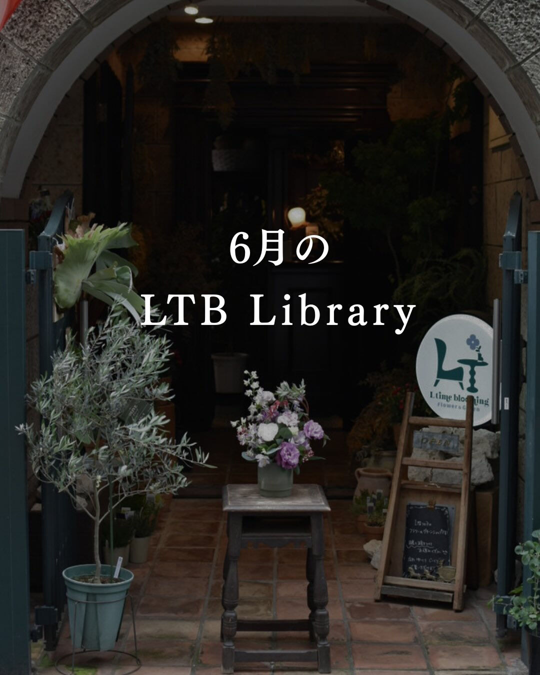 June  LTB  Library. 📚