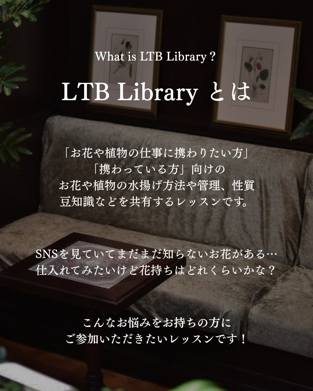June  LTB  Library. 📚