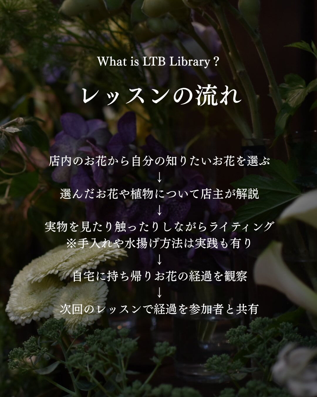 June  LTB  Library. 📚