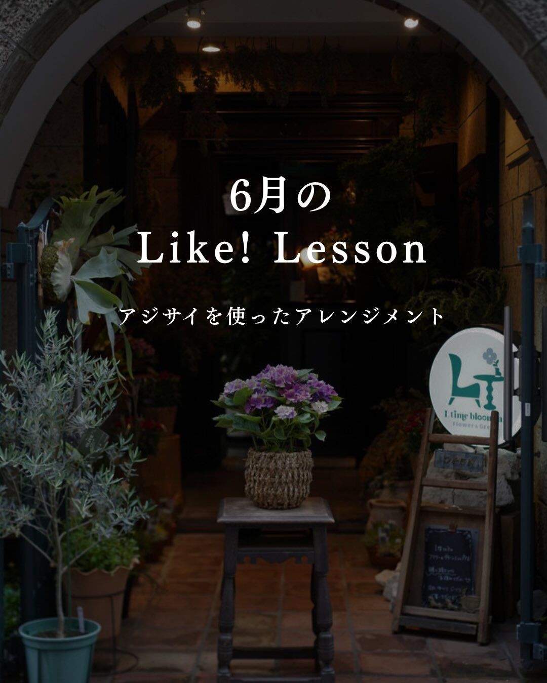 June  Like!  Lesson. ☔️