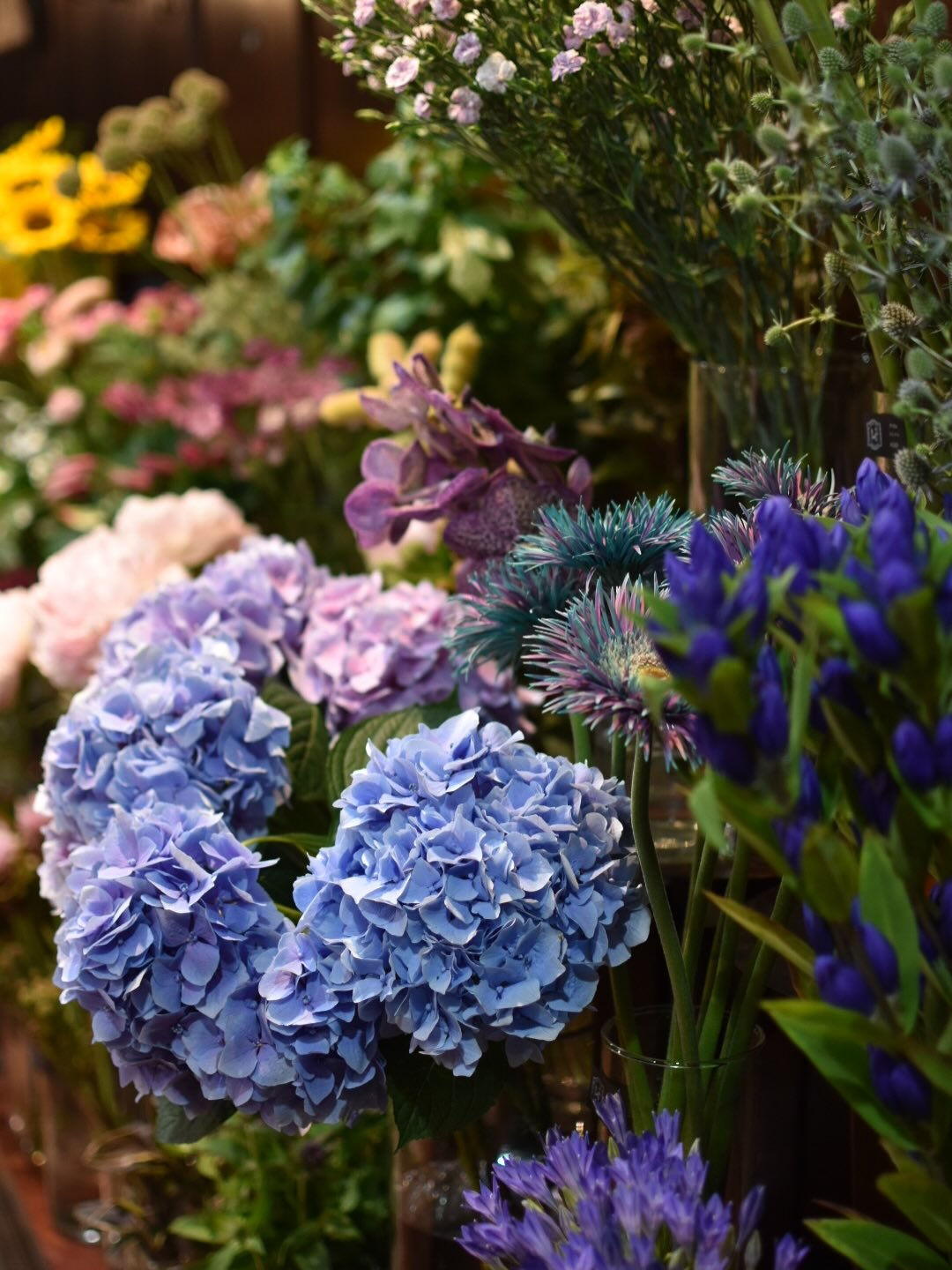 Blue flower.🦋👗🧢🪼❄️🫐🫧🛼🛸