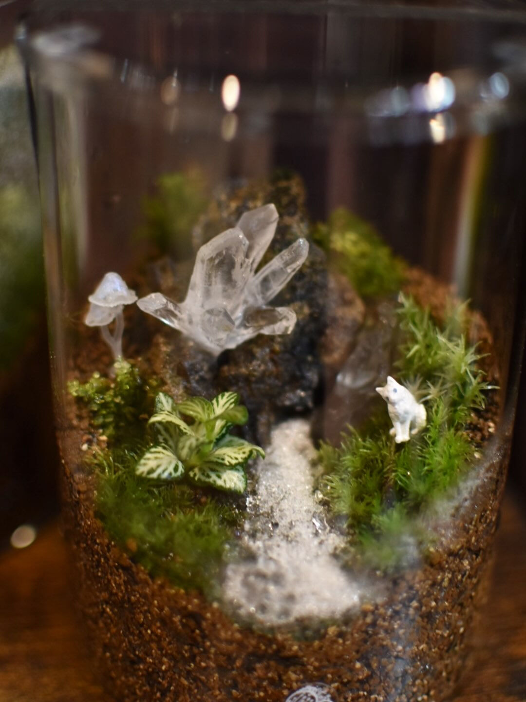 Moss terrarium. 🌱