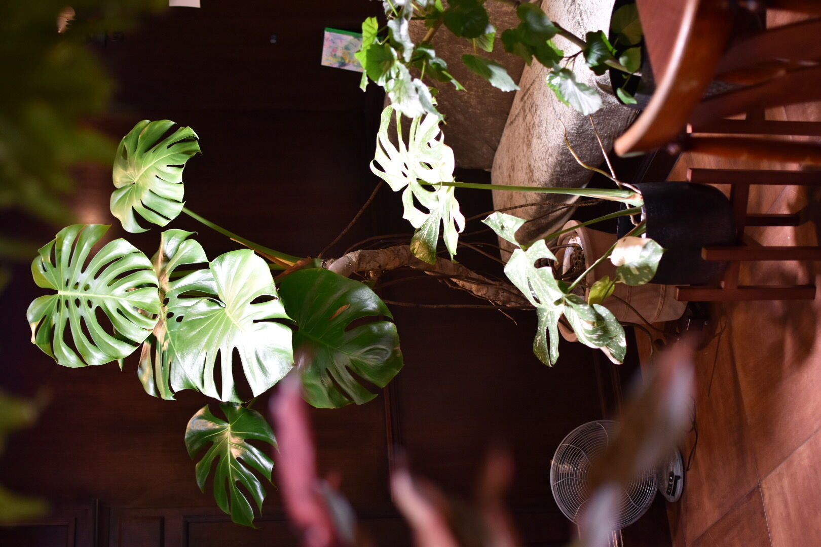 会場装飾