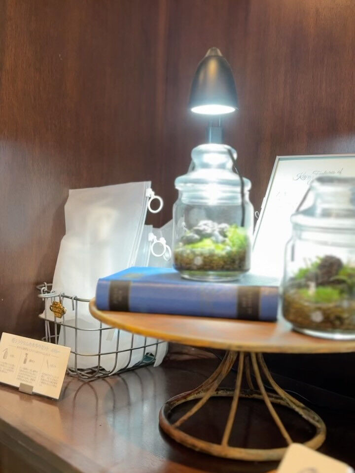 Terrarium.🌱