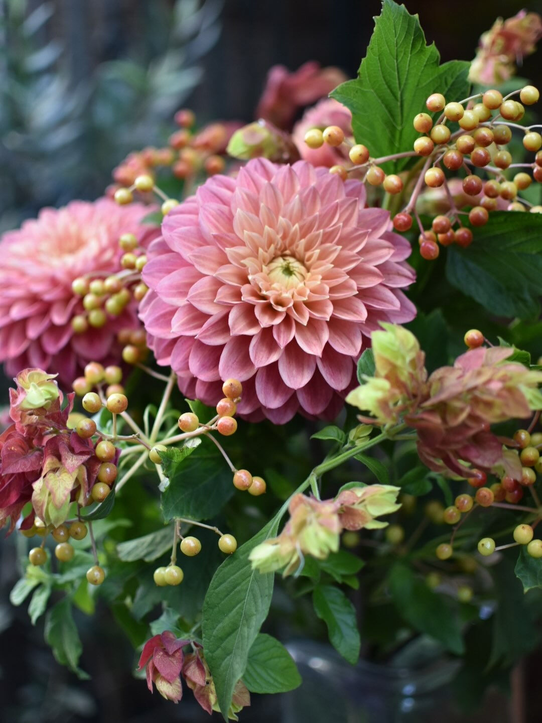 Dahlia bouquet.